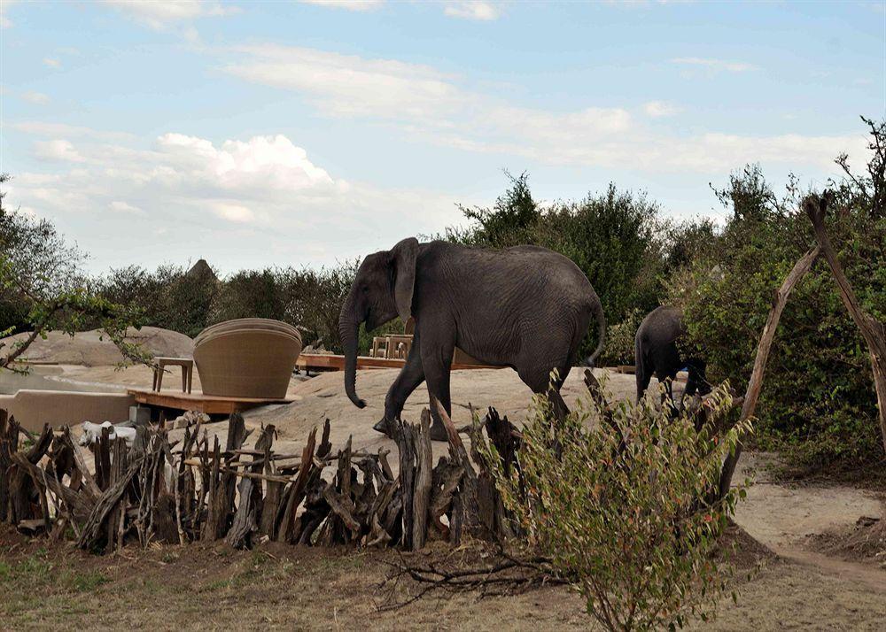 Sayari Camp Hotel Nyanungu Buitenkant foto