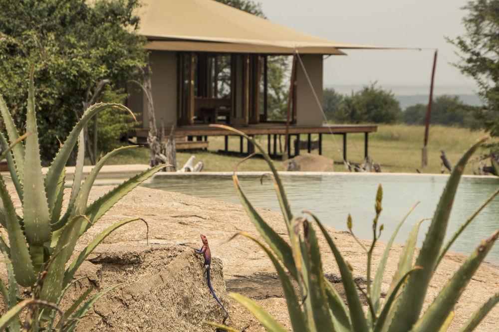 Sayari Camp Hotel Nyanungu Buitenkant foto