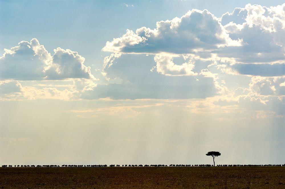 Sayari Camp Hotel Nyanungu Buitenkant foto